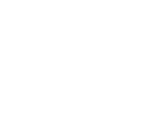 Million Trees Foundation Inc.